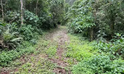 Chácara / sítio à venda na Linha Olinda, 10, Vila Olinda, Nova Petrópolis