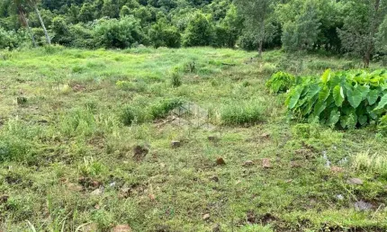 Chácara / sítio à venda na Linha São Jacó, 510, Zona Rural, Nova Petrópolis