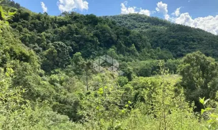 Chácara / sítio à venda na Stille Eck, 3000, Zona Rural, Nova Petrópolis