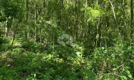 Chácara / sítio à venda na Ackermann, 7500, Zona Rural, Nova Petrópolis