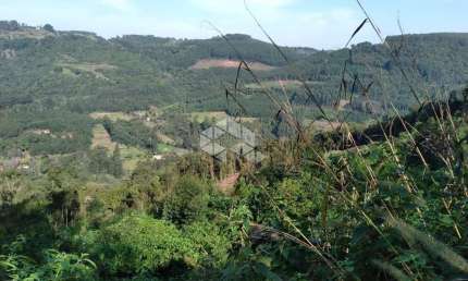 Chácara / sítio à venda na Dos Ackermann, 7501, Zona Rural, Nova Petrópolis