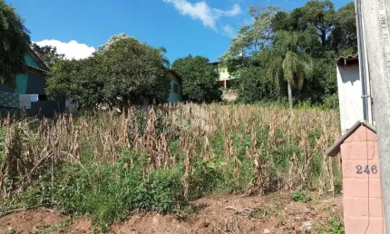 Terreno à venda na Das Perobas, 1, Vale Verde, Nova Petrópolis