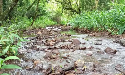 Chácara / sítio à venda na Nicolau Weber, 1, Pinhal Alto, Nova Petrópolis
