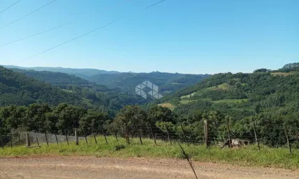 Chácara de 8000m² no interior de nova petrópolis no distrito de pinhal alto, serra gaúcha.