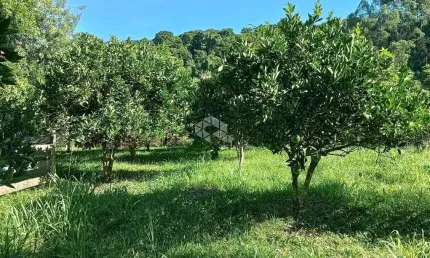 Chácara de 8000m² no interior de Nova Petrópolis no distrito de Pinhal Alto, serra gaúcha.