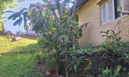Casa com 2 quartos à venda na Bela Vista, 814, Logradouro, Nova Petrópolis