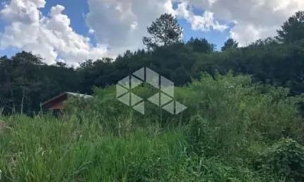 Terreno amplo e plano em frente ao asfalto localizado a poucos metros do centro e de fácil acesso à br 116.