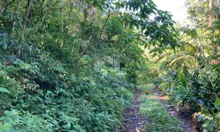 Chácara / sítio à venda na Rua Dos Imigrantes, 50, Vila Olinda, Nova Petrópolis