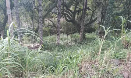 Terreno à venda na São Jacó, 6, Bavária, Nova Petrópolis