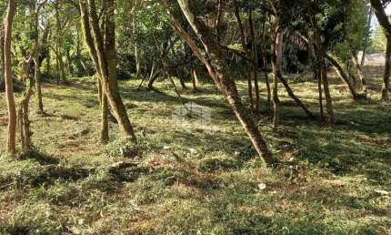 Terreno à venda na Alberto Lamberty, 100, Vila Germania, Nova Petrópolis