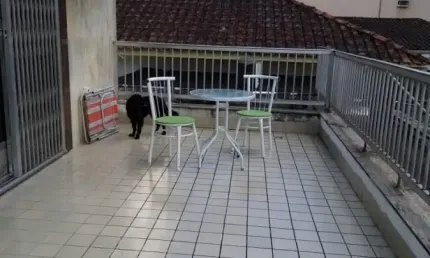 Casa sobreposta alta, 4 dormitórios, 1 suíte, varanda, 200 m² no boqueirão