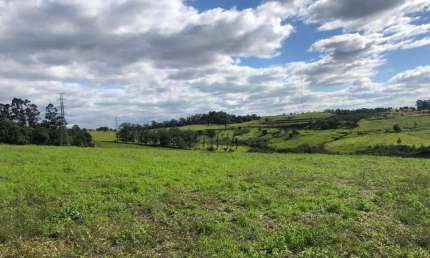 Área de Terra para venda  no Bairro Fazenda São Borja em São Leopoldo