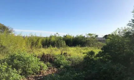 Terreno para venda  no Bairro Santo André em São Leopoldo