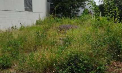 VENDA: Terreno, 264m², Morro do Espelho, São Leopoldo