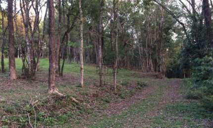Terreno para venda  no Bairro Vila Rica em São Sebastião do Caí