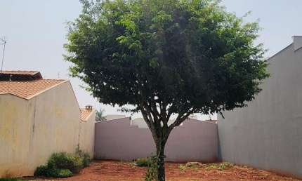 Terreno à venda na Rua Jair Cortez, Jardim Portal dos Pioneiros, Londrina