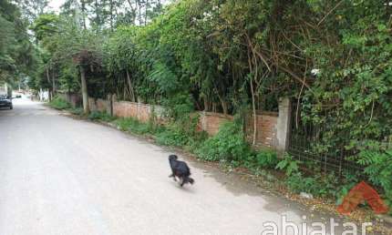 Chácara de 10.150 m² Jardim Santa Rita - Embu das Artes, à venda por R$ 4.100.000