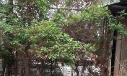 Terreno à venda na Rua Sabinada, Jardim São Luiz, Embu das Artes