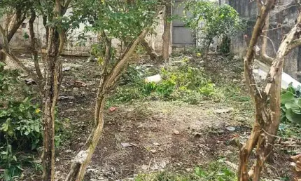 Terreno à venda na Travessa Antônio Barroca, Vila Cachoeira, São Paulo