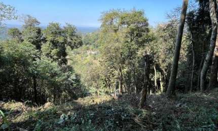 Terreno à venda na Rua Canarinho, Jardim Renata, Itapecerica da Serra