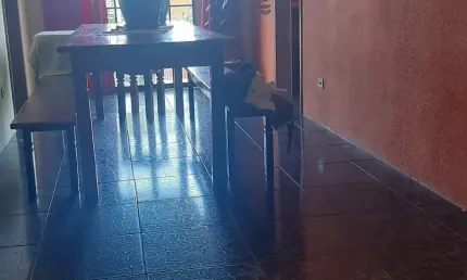 Casa comercial com 3 salas à venda na Rua Gabriel Ribeiro, 1249, Sítio Cercado, Curitiba