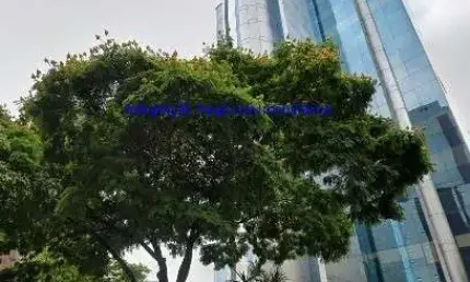 Laje Comercial 533m², copa, 08 banheiros e 12 vagas na garagem.  Condomínio com recepção e segurança 24hrs.  Excelente localização.