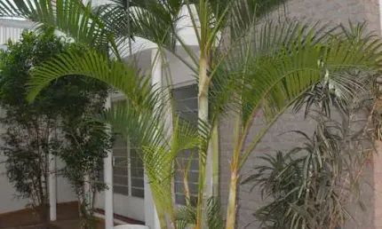 Casa 268m², 02 dormitórios e 02 banheiros .  excelente localização, entre as ruas barão do sabará, gabriele d'annunzio