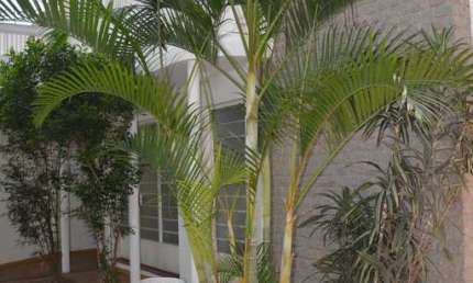 Casa 268m², 02 dormitórios e 02 banheiros .  Excelente localização, entre as Ruas Barão do Sabará, Gabriele D'Annunzio