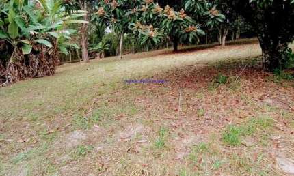 Terreno  3.460 m², possui  01 casa com 3 dormitórios, cozinha, banheiro, sala, lavanderia e 01 vaga de garagem.  Excelente localização
