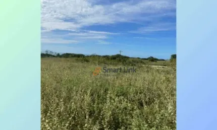 Terreno à venda, 41000ha por r$ 400.000 - mel de baixo - areia branca/rn