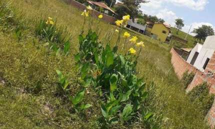 Terreno à venda, 1050 m² por R$ 90.000,00 - Colinas de Porangaba - Porangaba/SP