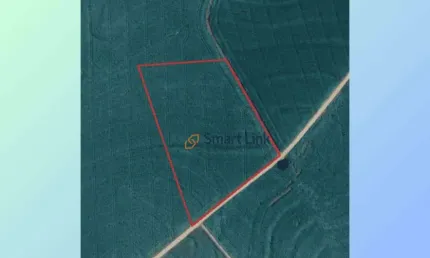 Terreno à venda, 24200 m² por R$ 498.481,00 - Centro - Engenheiro Beltrão/PR