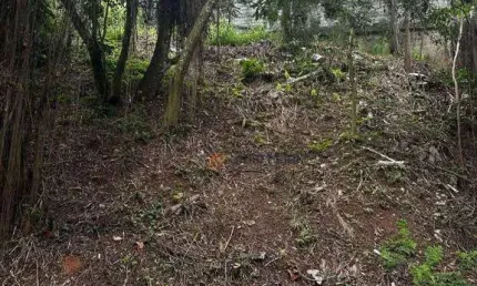 Terreno à venda, 290 m² por R$ 310.000,00 - Jardim Virginia Bianca - São Paulo/SP