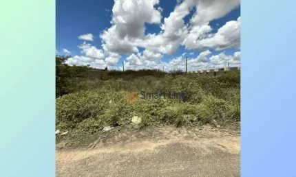 Terreno à venda, 140 m² por R$ 45.000,00 - Mangabeira - Feira de Santana/BA