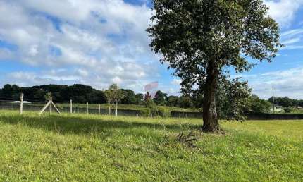 Terreno à venda na Rua Padre Phelippe Ledet, s/n, Planta Laranjeiras, Piraquara, 3672 m2 por R$ 660.000
