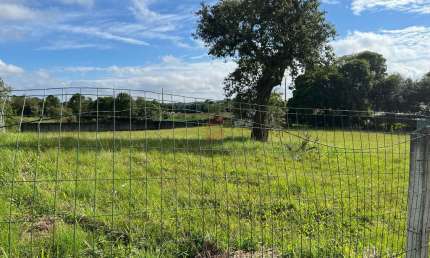 Terreno à venda na Rua Padre Phelippe Ledet, s/n, Planta Laranjeiras, Piraquara, 2800 m2 por R$ 660.000