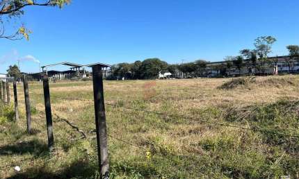 Terreno comercial para alugar na Rua Umuarama, 280, Emiliano Perneta, Pinhais por R$ 72.000