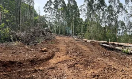 Terreno para venda no bairro Farroupilha em Farroupilha