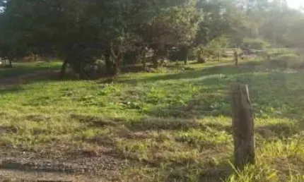 Excelente terreno à venda na av. campo grande em estância velha
