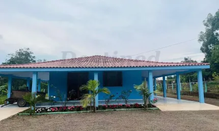 Sítio para venda em taquara bairro santa cruz da concórdia