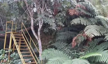 Terreno à venda em Colinas, São Francisco de Paula 