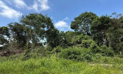 Terreno à venda no Pontal do Norte, Itapoá 