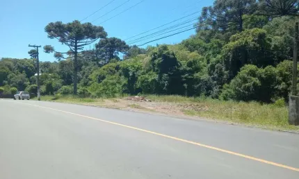 Terreno para venda no bairro simonaggio em garibaldi