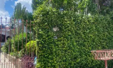 Casa com 2 quartos à venda na Avenida Cláudio Franchi, 613, Jardim Monte Kemel, São Paulo por R$ 800.000