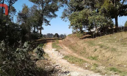 Terreno à venda, 5000 m² por R$ 449.000,00 - Arruda - Colombo/PR