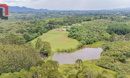 Área à venda, 39051 m² por R$ 5.600.000,00 - Vila Fuck - Piraquara/PR