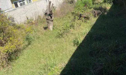 Terreno para alugar, 576 m² por R$ 2.646,12/mês - Lindóia - Curitiba/PR