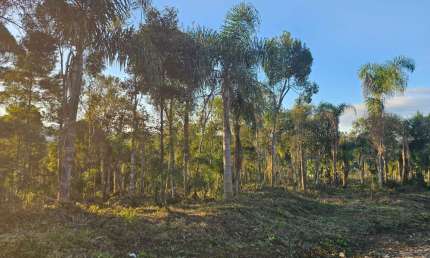 Belíssima Área na Roseira divisa de Colombo com Campina Grande do Sul