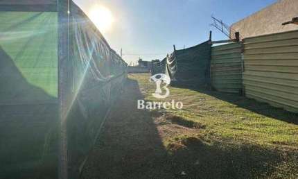 Terreno à venda, 200 m² por R$ 295.000,00 - Residencial Gleba Esperanca - Londrina/PR