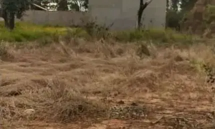 Terreno comercial à venda no Vale do Igapó, Bauru 